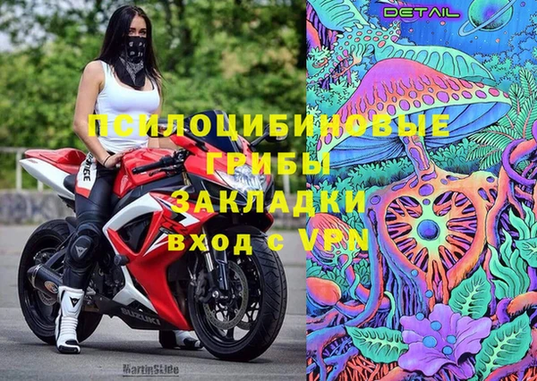 спайс Аркадак