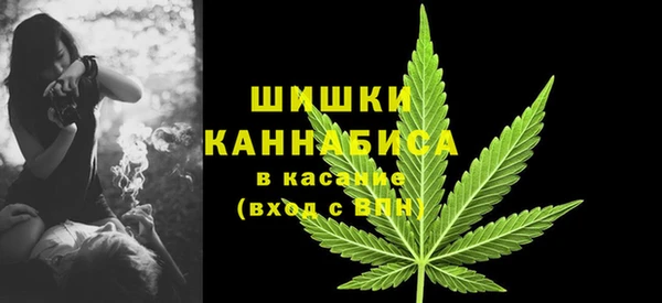 шишки Арсеньев