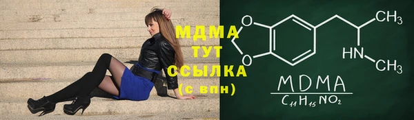 шишки Арсеньев