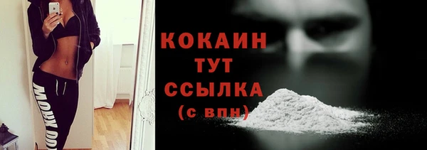 шишки Арсеньев