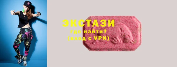 шишки Арсеньев