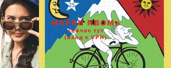 шишки Арсеньев
