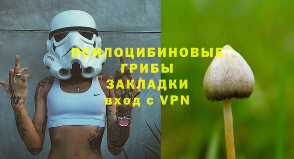 шишки Арсеньев
