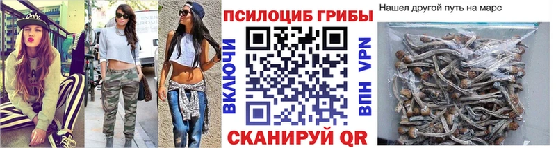 darknet наркотические препараты  Новомосковск  Псилоцибиновые грибы Cubensis 